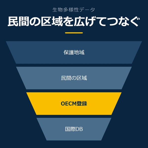 「民間の区域を広げてつなぐ」を示す図です。保護地域／民間の区域／OECM登録／国際DBを並べています。強調しているのはOECM登録です。