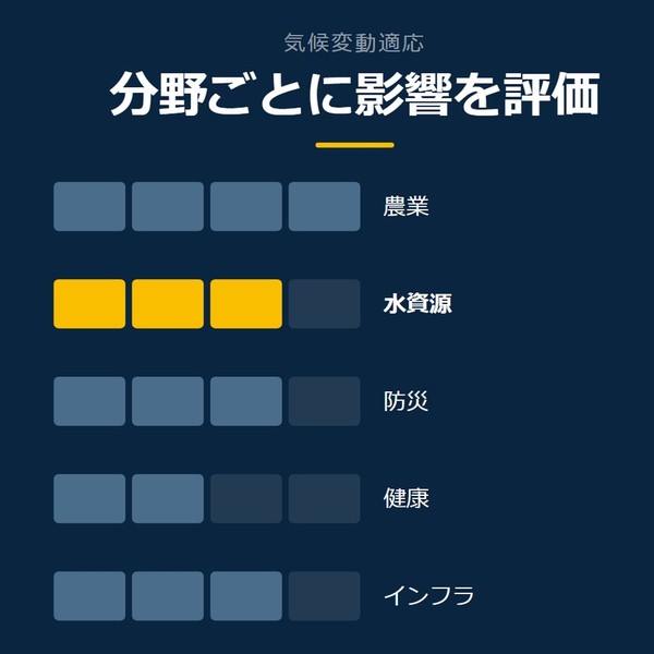 「分野ごとに影響を評価」を示す図です。農業／水資源／防災／健康／インフラを並べています。強調しているのは水資源です。